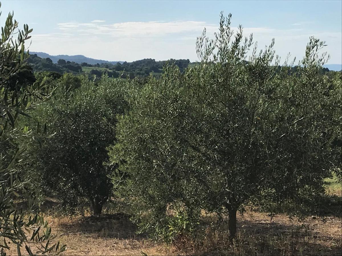 Gite Au Coeur Du Pays Cathare Verzeille Екстериор снимка