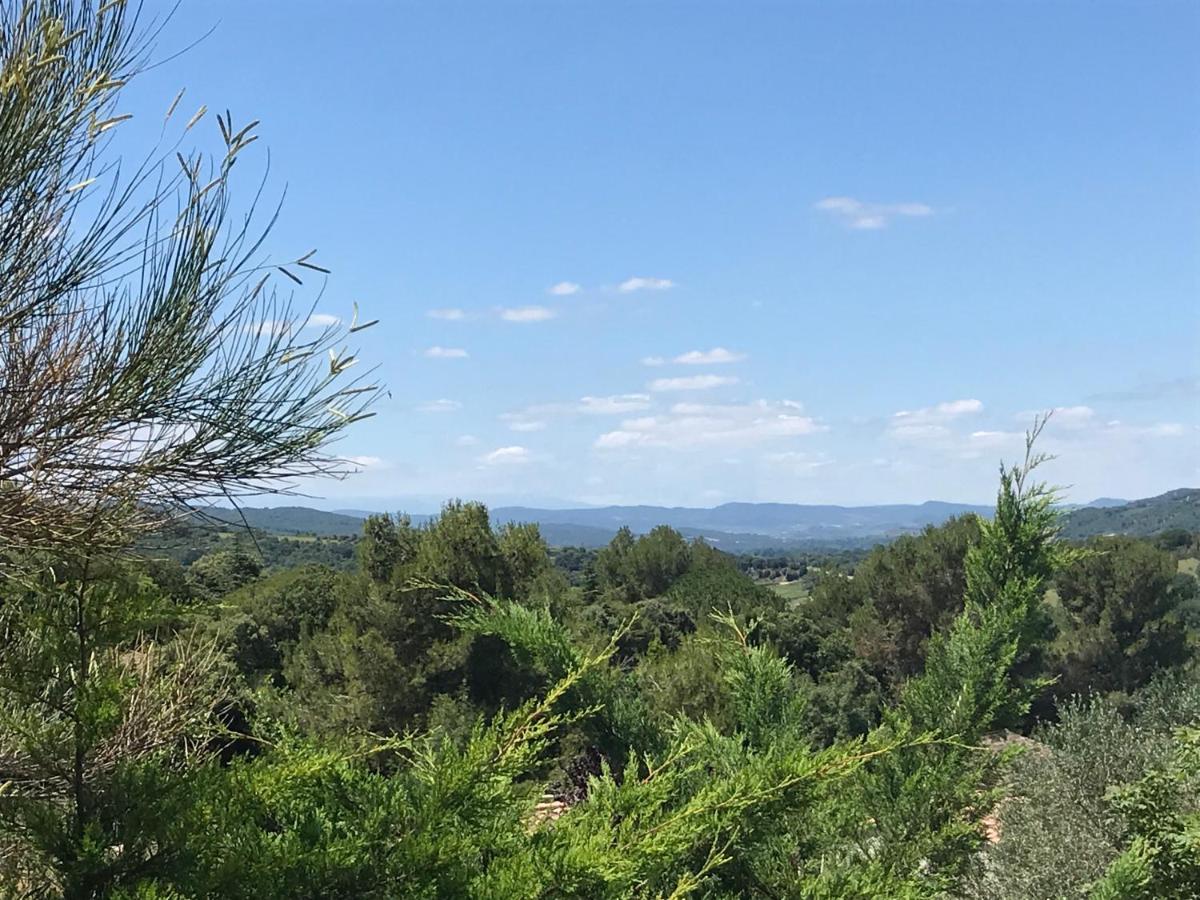 Gite Au Coeur Du Pays Cathare Verzeille Екстериор снимка